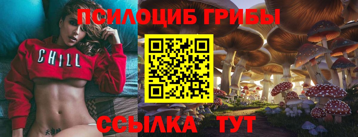 Псилоцибиновые грибы Cubensis Серпухов